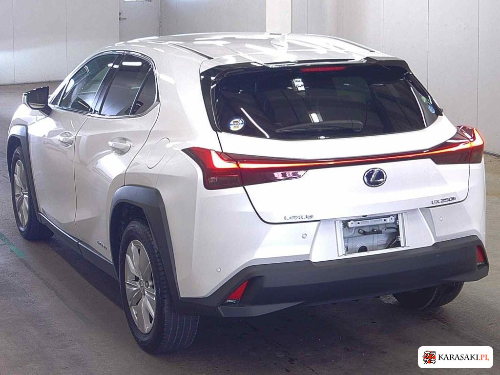 2019 Lexus Ux UX250H Version C 2