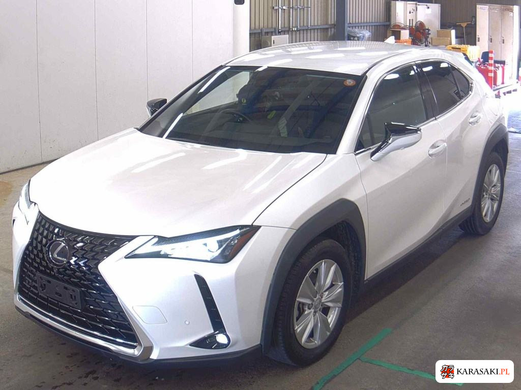 2019 Lexus Ux UX250H Version C 3