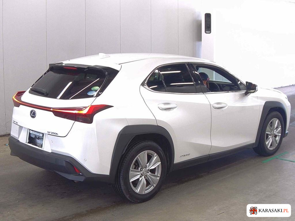 2019 Lexus Ux UX250H Version C 4