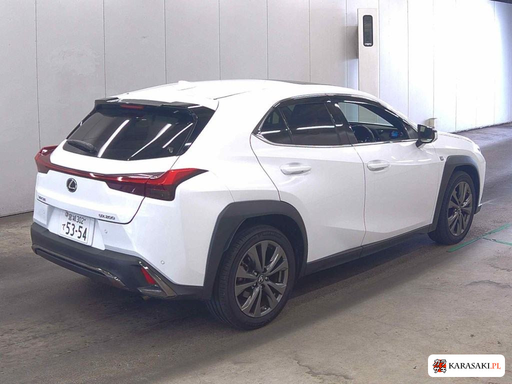2018 Lexus Ux UX200 F Sport 4