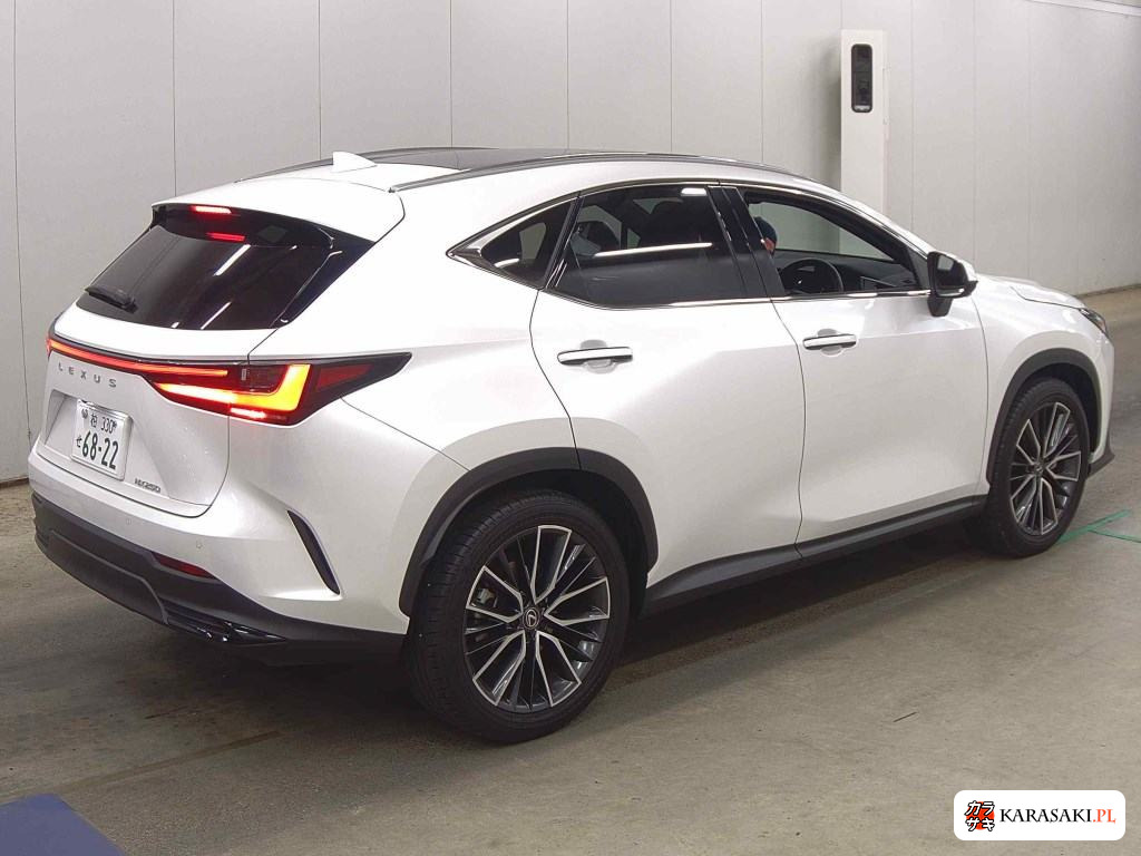2024 Lexus NX NX250 4