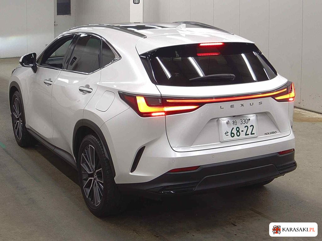 2024 Lexus NX NX250 2
