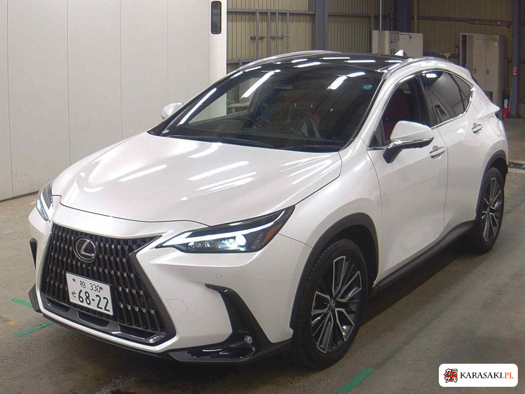 2024 Lexus NX NX250 3