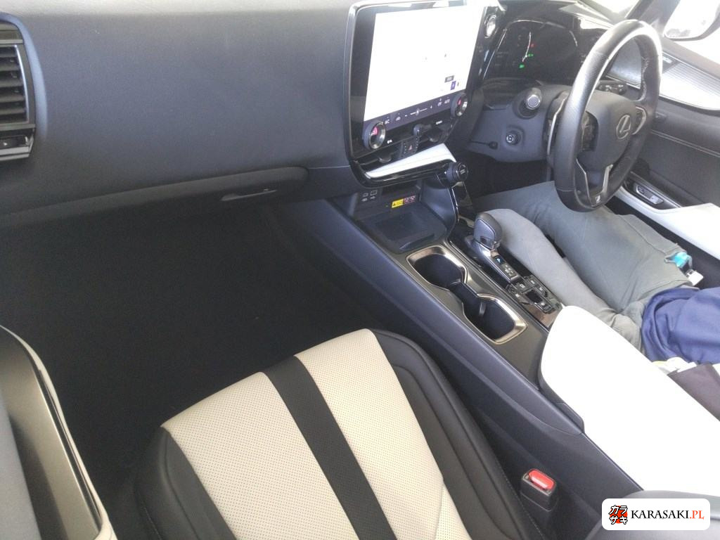 2023 Lexus NX 4WD NX350H F Sport 5