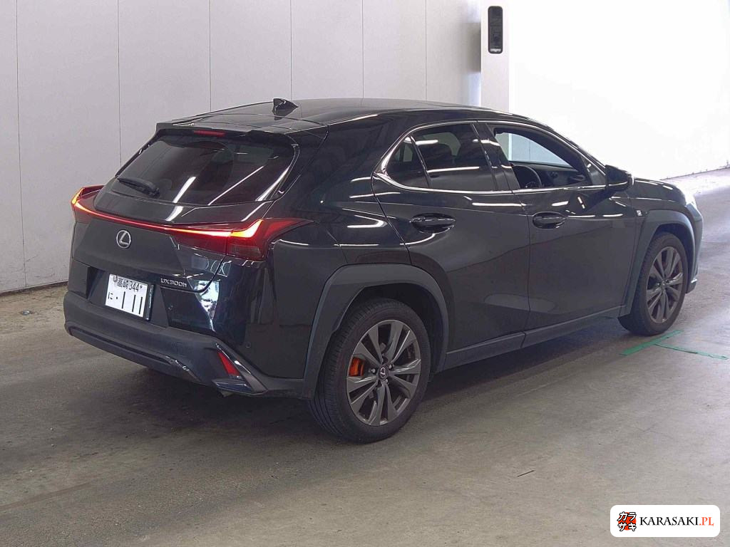 2025 Lexus Ux UX300H F Sport 4