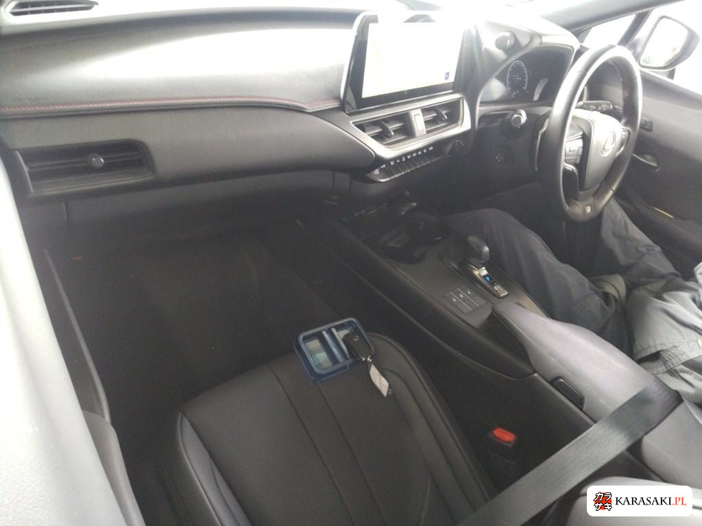 2025 Lexus Ux UX300H F Sport 5