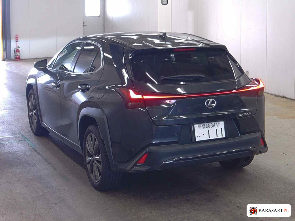 2025 Lexus Ux UX300H F Sport 2