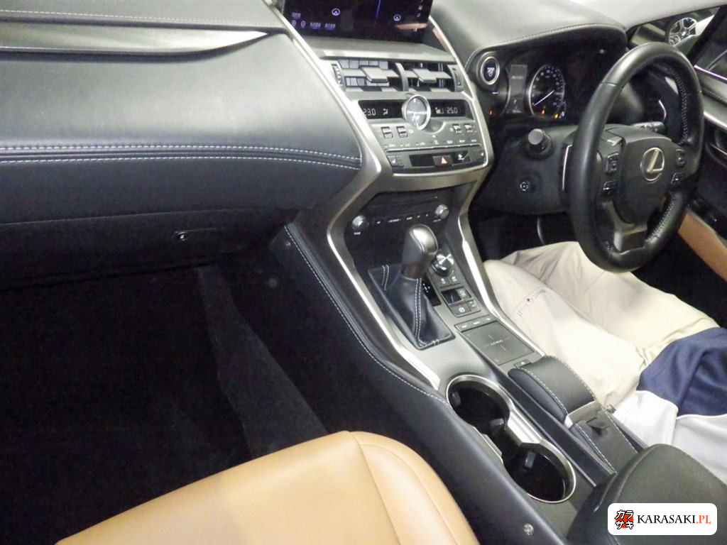 2020 Lexus NX NX300H I Package 5