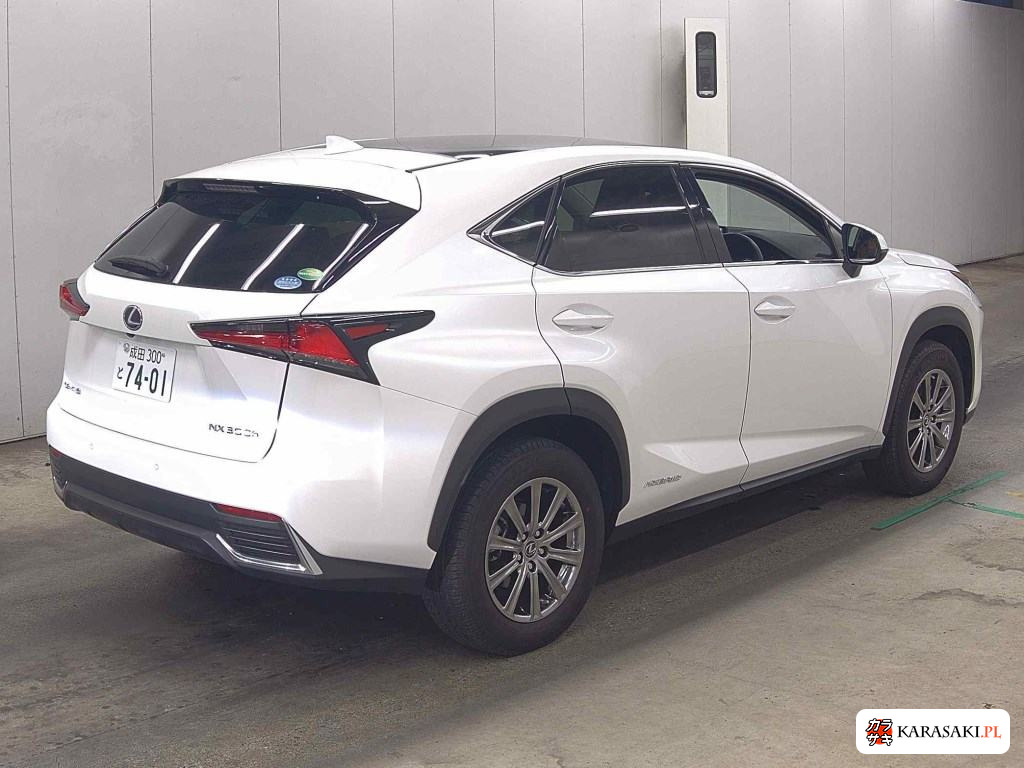 2020 Lexus NX NX300H I Package 4