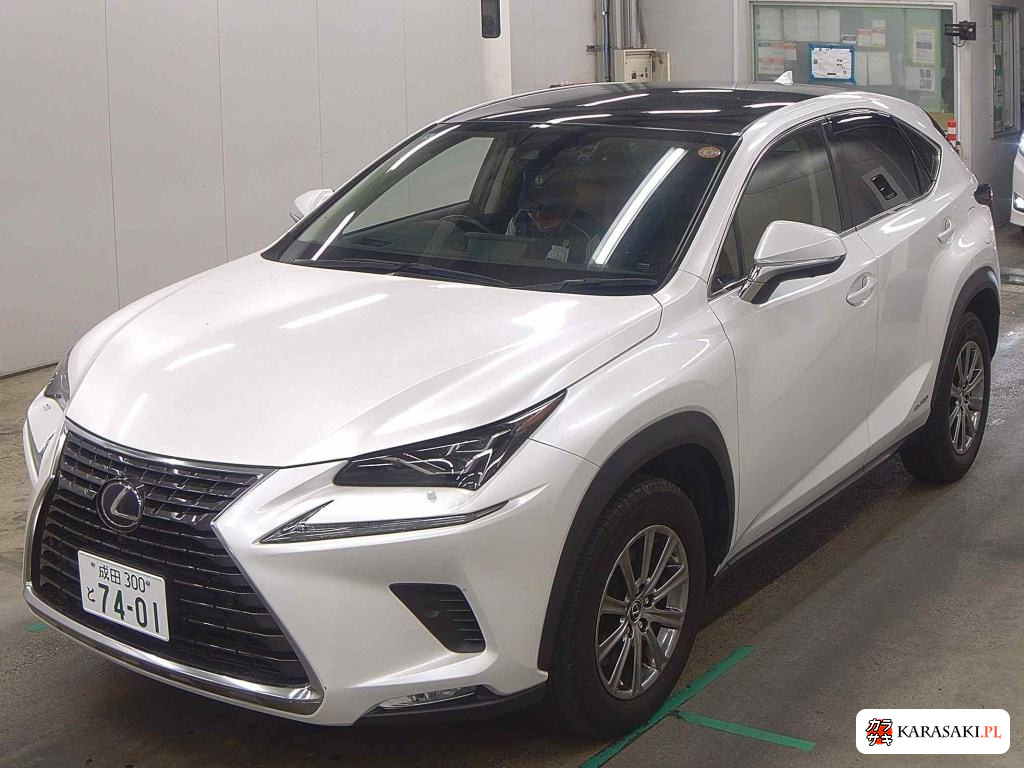 2020 Lexus NX NX300H I Package 3