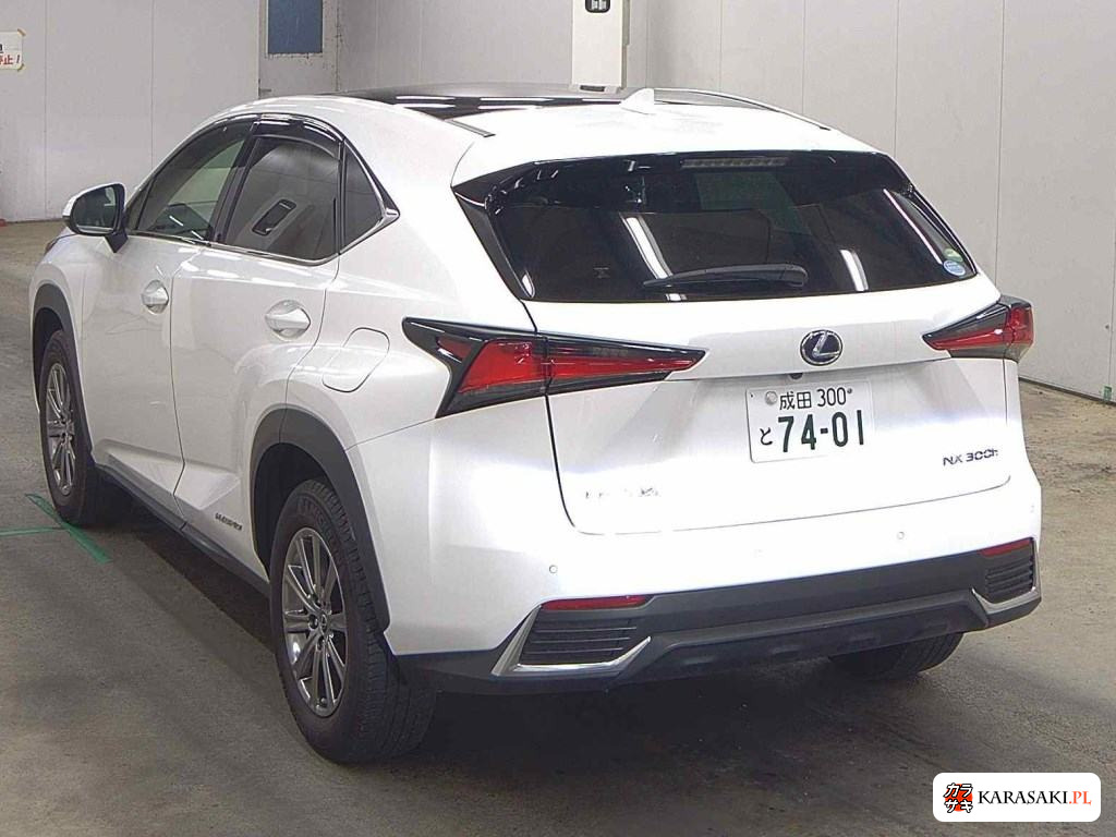 2020 Lexus NX NX300H I Package 2
