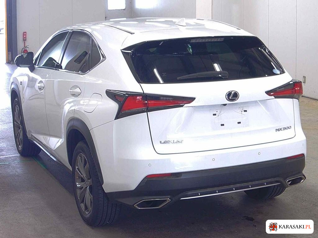 2019 Lexus NX NX300 F Sport 2