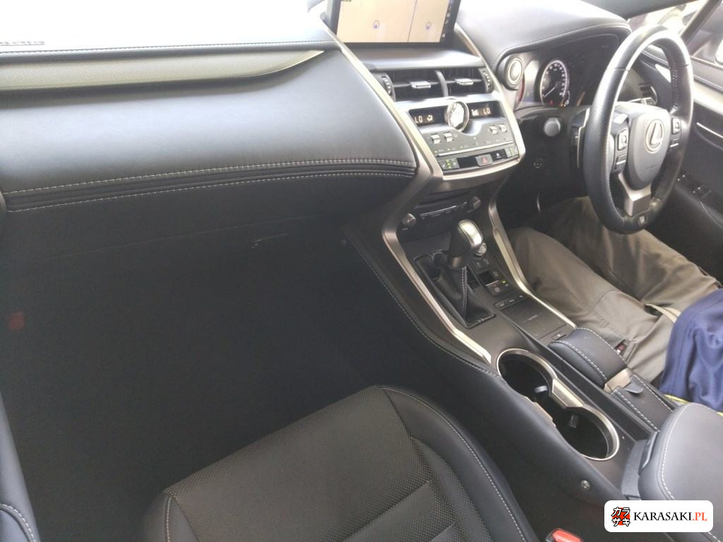 2019 Lexus NX NX300 F Sport 5