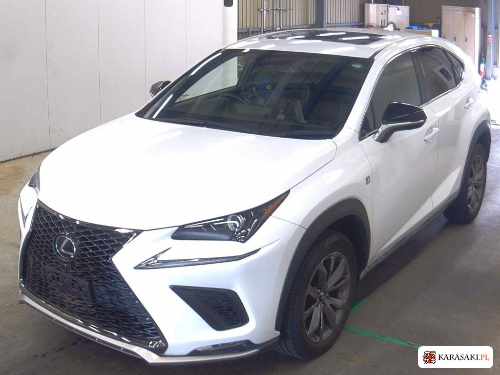2019 Lexus NX NX300 F Sport 3