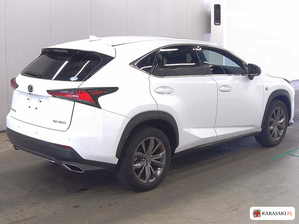 2019 Lexus NX NX300 F Sport 4