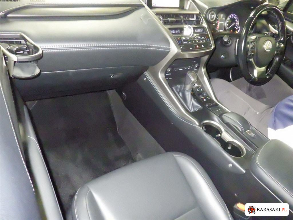 2016 Lexus NX NX200T I Package 5