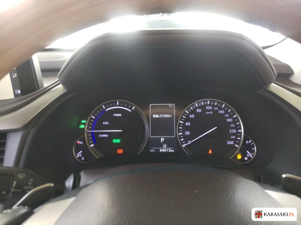 2020 Lexus RX 4WD RX450H 6