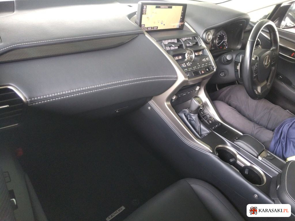 2018 Lexus NX NX300 I Package 5