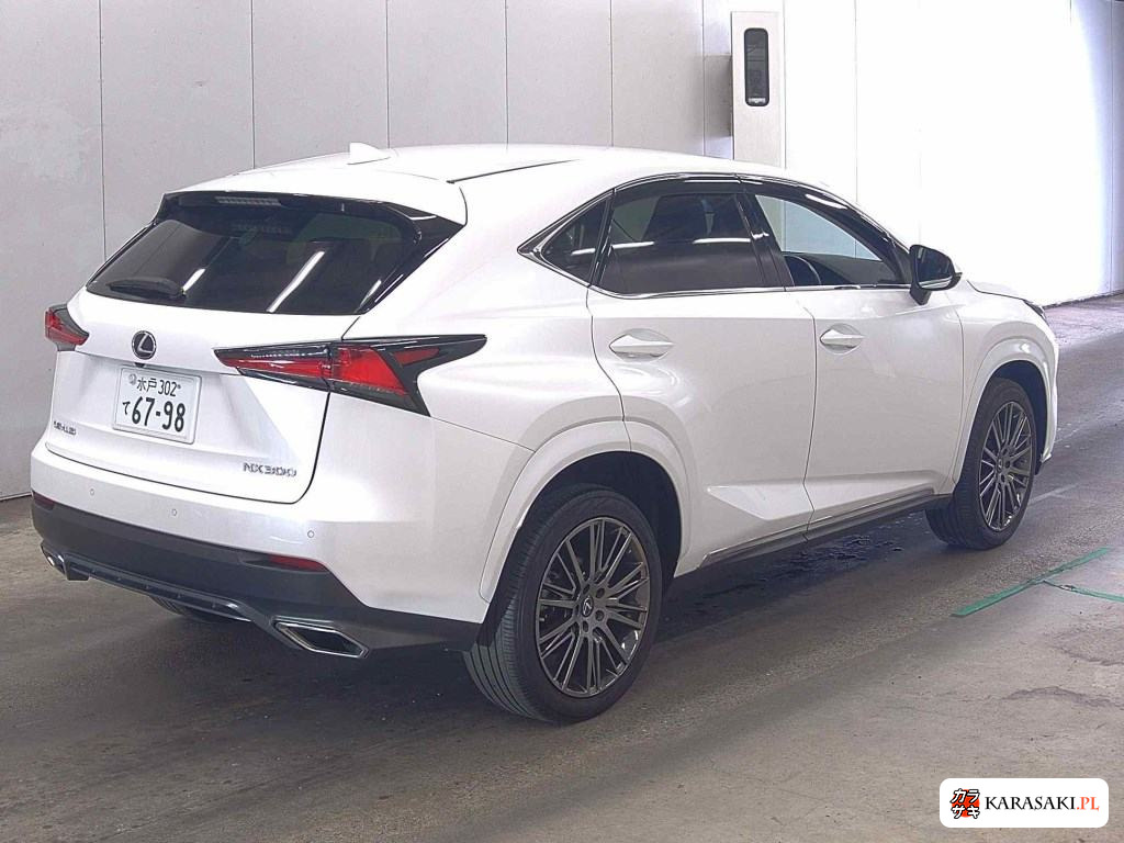 2018 Lexus NX NX300 I Package 4