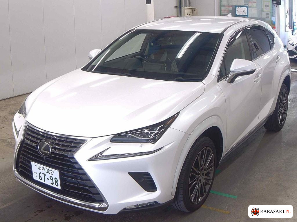 2018 Lexus NX NX300 I Package 3