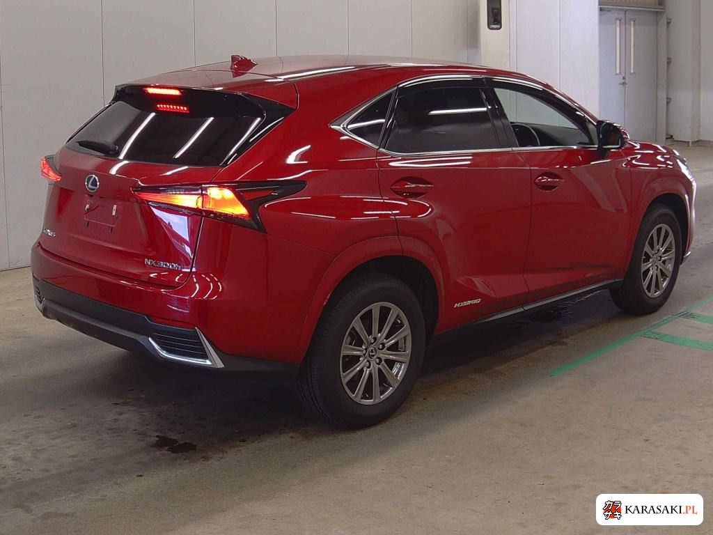 2020 Lexus NX 4WD NX300H I Package 4