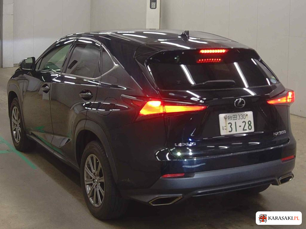 2018 Lexus NX 4WD NX300 I Package 2