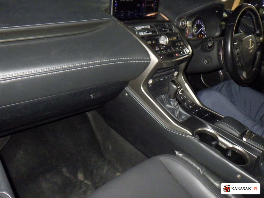 2018 Lexus NX 4WD NX300 I Package 5