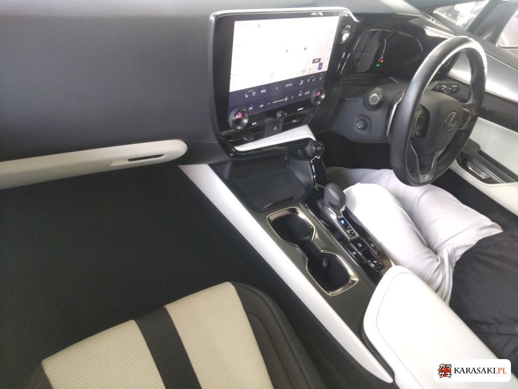 2023 Lexus NX NX350H F Sport 5