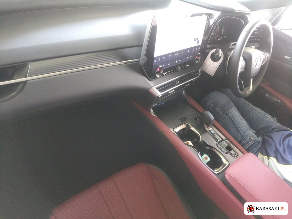 2025 Lexus RX 4WD F Sport 5