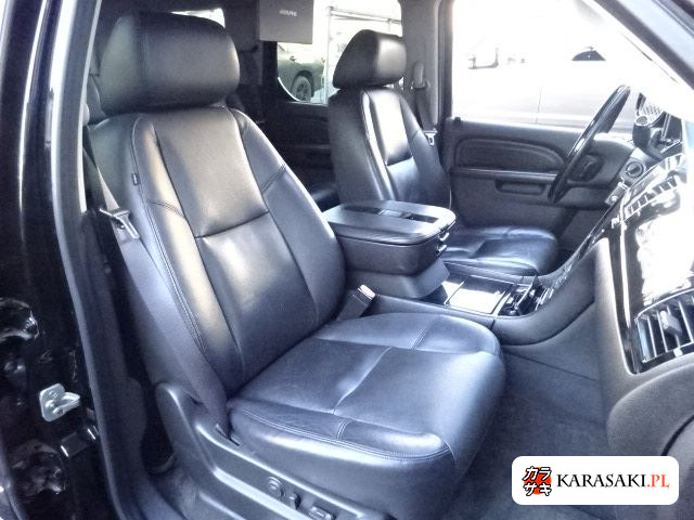 2010 Cadillac Escalade 4WD Base Grade 14