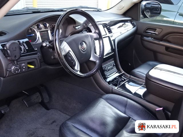 2010 Cadillac Escalade 4WD Base Grade 9