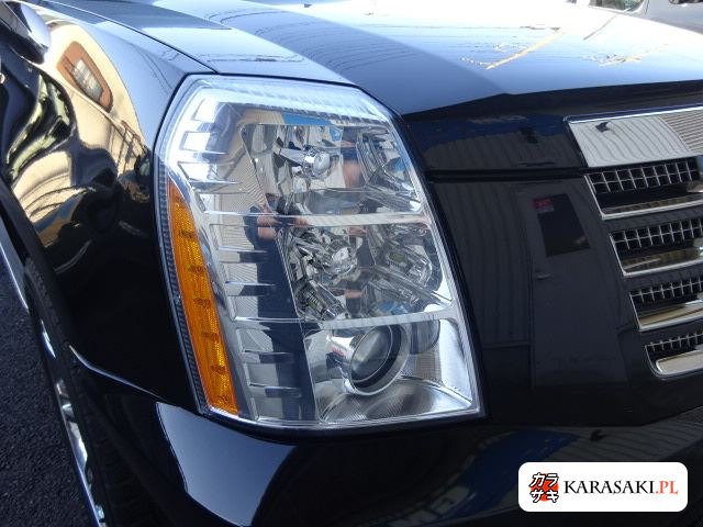 2010 Cadillac Escalade 4WD Base Grade 11