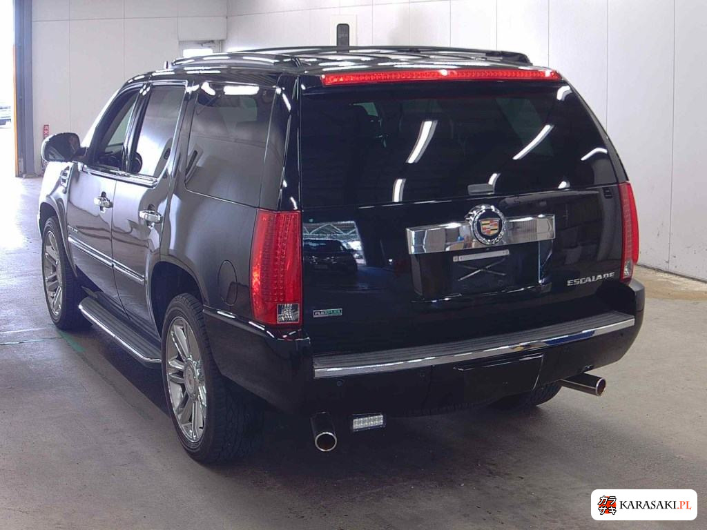2010 Cadillac Escalade 4WD Base Grade 2