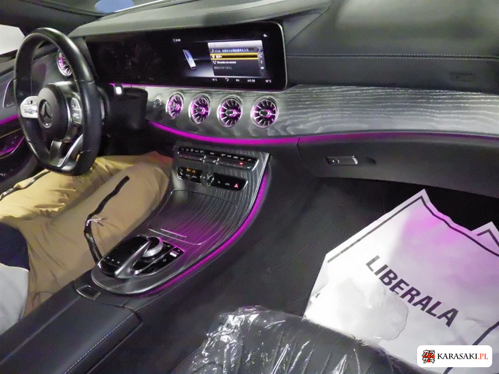 2019 Mercedes-Benz CLS-Class 4WD CLS450 4MATIC Sports 5