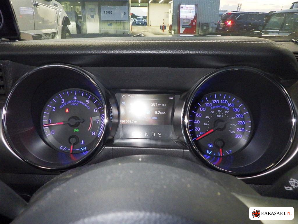 2016 Ford Mustang CP 50 Years Edition 6