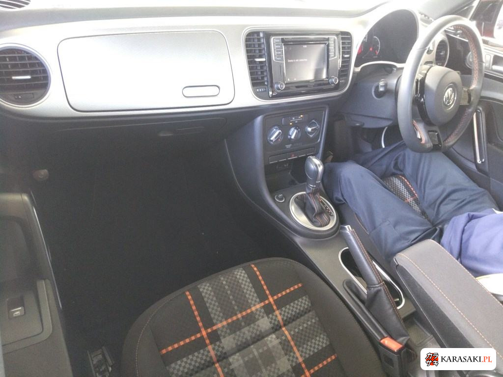 2015 Dodge The Beetle Club 5