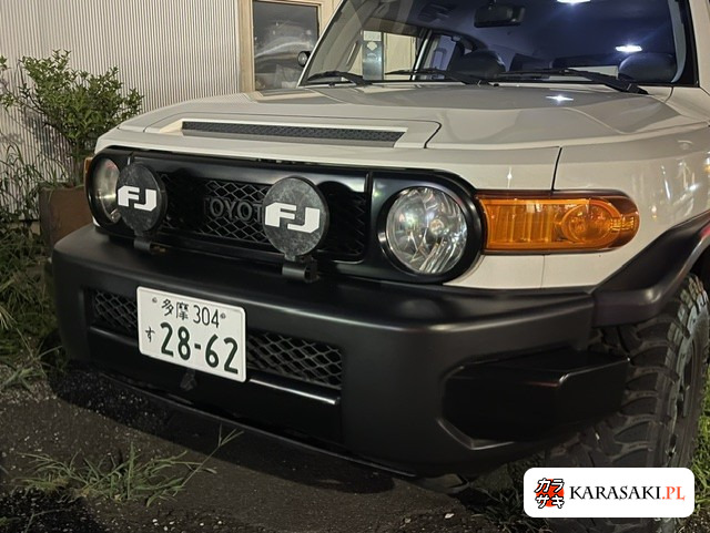 2008 America Toyota FJ Cruiser 4WD 9