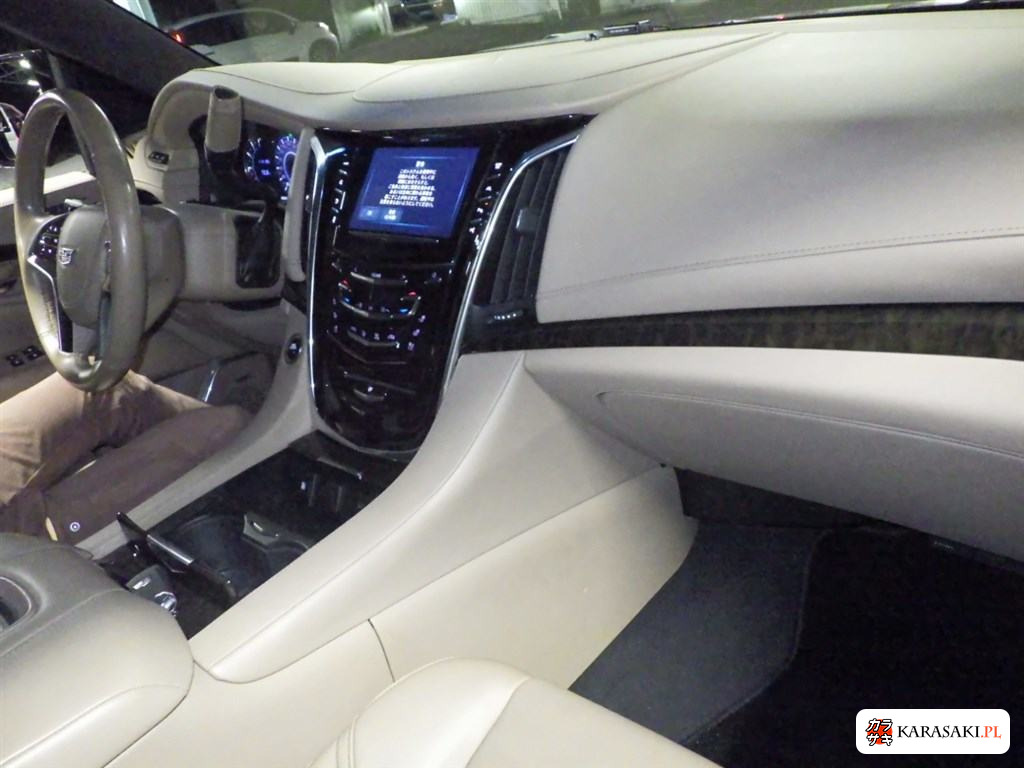2020 Cadillac Escalade 4WD Platinum 5