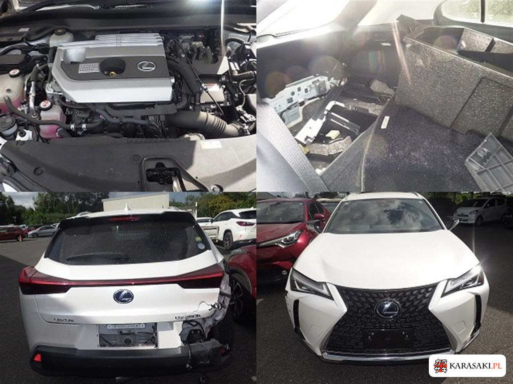 2019 Lexus Ux UX250H Version C 6