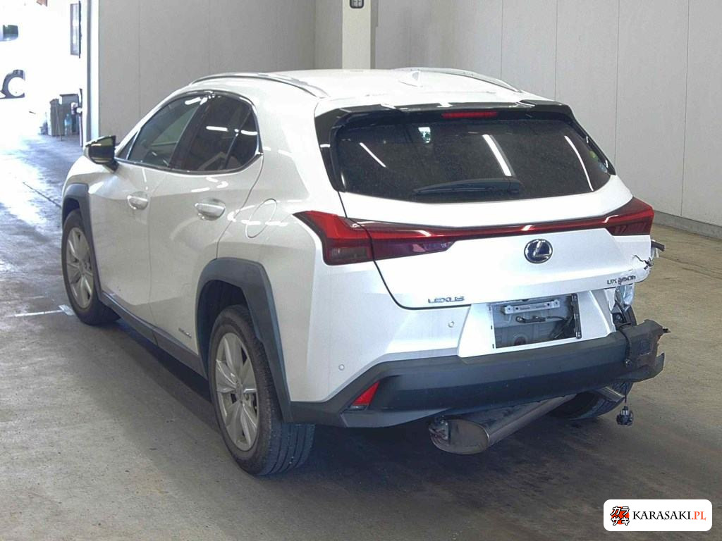 2019 Lexus Ux UX250H Version C 2