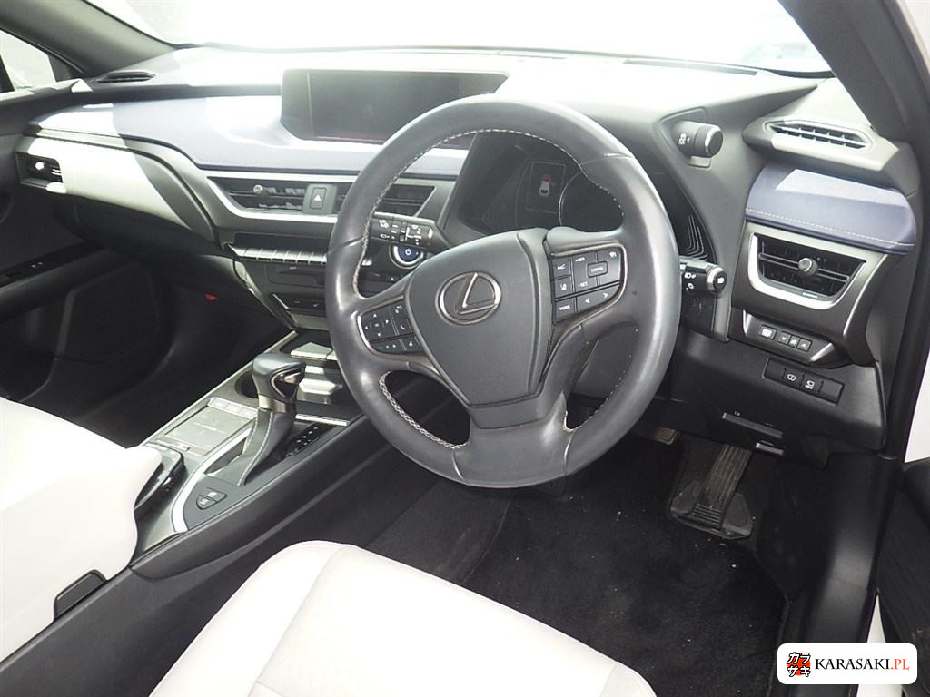 2019 Lexus Ux UX250H Version C 5