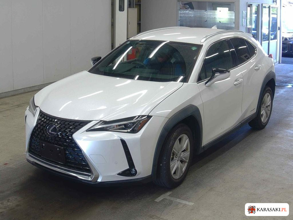 2019 Lexus Ux UX250H Version C 3
