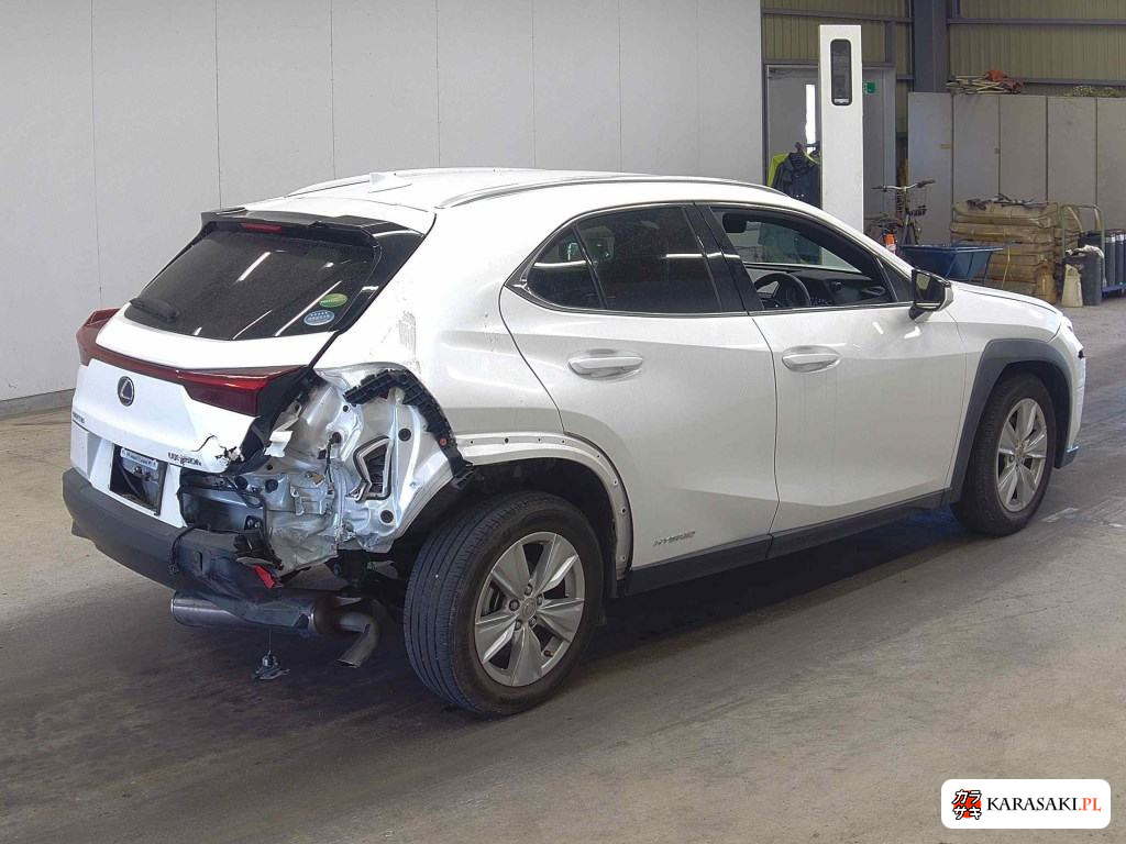 2019 Lexus Ux UX250H Version C 4