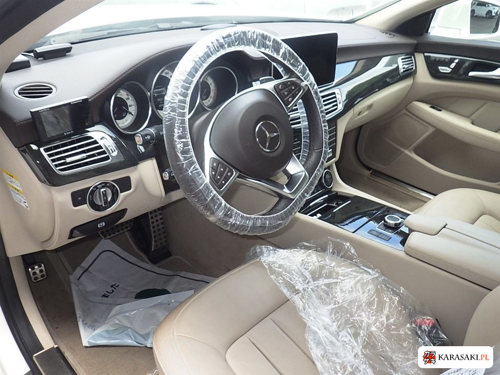 2015 Mercedes-Benz CLS-Class CLS400 5