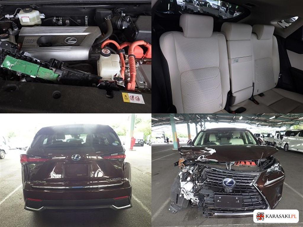 2018 Lexus NX 4WD NX300H Version L 6