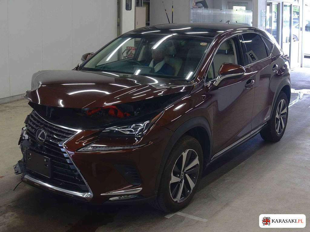 2018 Lexus NX 4WD NX300H Version L 3