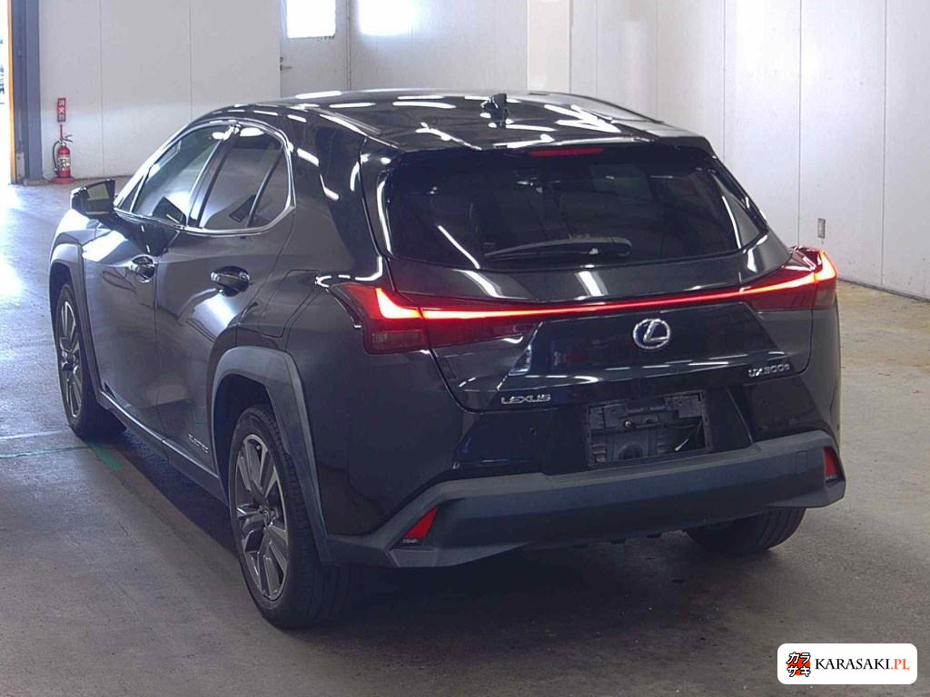 2021 Lexus UX300E Version L 2