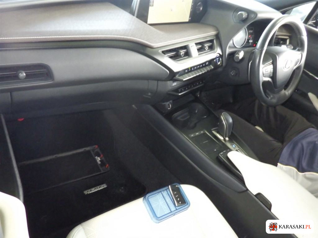 2021 Lexus UX300E Version L 5