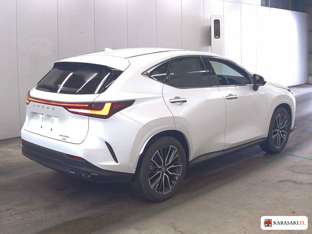 Lexus NX 2024 z aukcji japońskiej