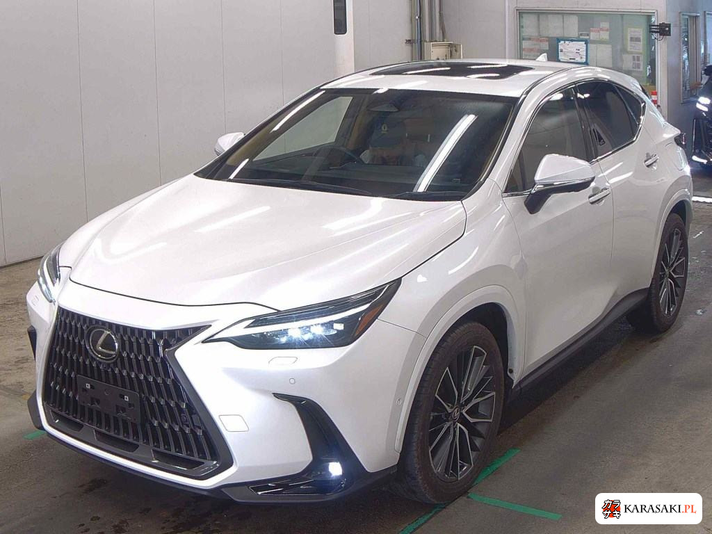 Lexus NX 2024 z aukcji japońskiej